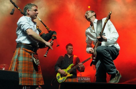 Peatbog Faeries
